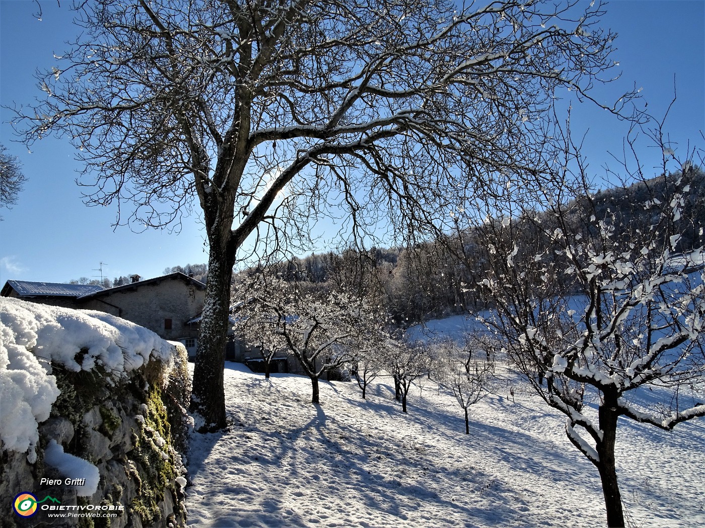 14 La neve si sta sciogliendo al sole.JPG